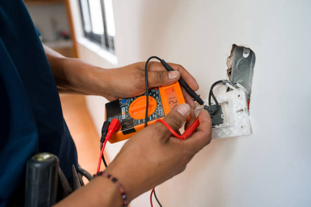 Best Local Electrician Companies  in Indian River, MI