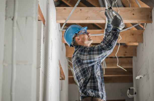 Best Electrical Repair Services  in Indian River, MI