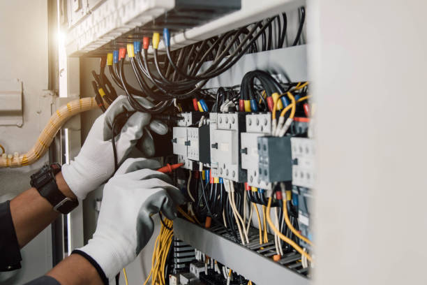 Best Electric Panel Repair  in Indian River, MI